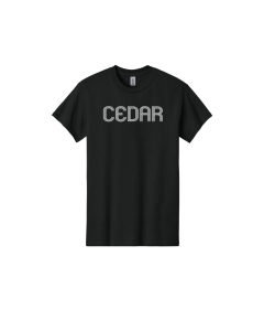 DSST Falcons Cedars Gildan - Heavy Cotton 100% Cotton T-Shirt.  5000