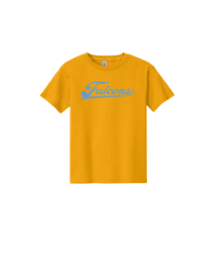DSSTFalcons Puffy Logo Gildan - Youth  Heavy Cotton 100% Cotton T-Shirt.  5000B