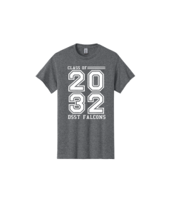 DSST Falcons Class 2032  Heavy Cotton 100% Cotton T-Shirt. 5000
