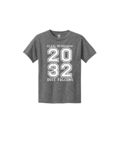 DSST Falcons Class 2032  Youth Heavy Cotton 100% Cotton T-Shirt.  5000B