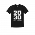 DSST Falcons Class 2030 Heavy Cotton 100% Cotton T-Shirt.  5000