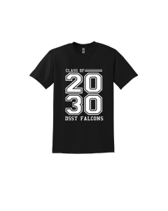 DSST Falcons Class 2030 Heavy Cotton 100% Cotton T-Shirt.  5000