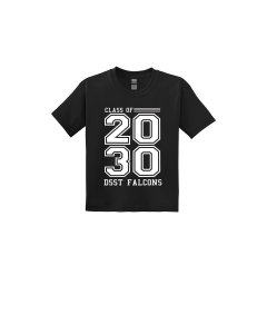 DSST Falcons Class 2030 Youth Heavy Cotton 100% Cotton T-Shirt.  5000B