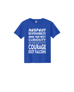 DSST Falcons - Youth  Heavy Cotton 100% Cotton T-Shirt.  5000B