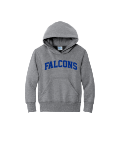 DSST Falcons falcons logo - Youth Core Fleece Pullover Hooded Sweatshirt.  PC90YH