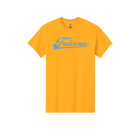 DSSTFalcons Puffy Logo Gildan - Heavy Cotton 100% Cotton T-Shirt.  5000