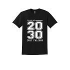 DSST Falcons Class 2030 Heavy Cotton 100% Cotton T-Shirt.  5000